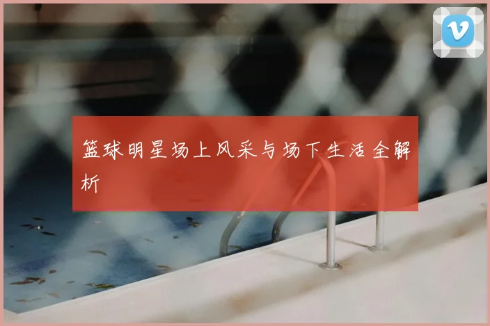 篮球明星场上风采与场下生活全解析